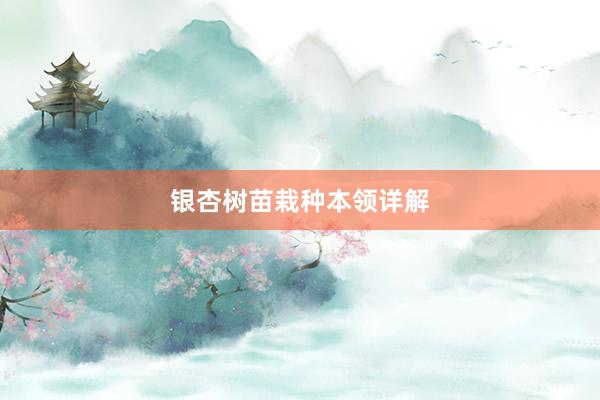 银杏树苗栽种本领详解