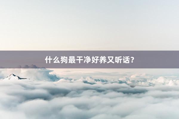 什么狗最干净好养又听话？