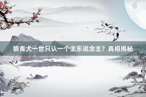 狼青犬一世只认一个主东说念主？真相揭秘